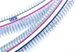 PVC高强度涤纶纤维增强花园管